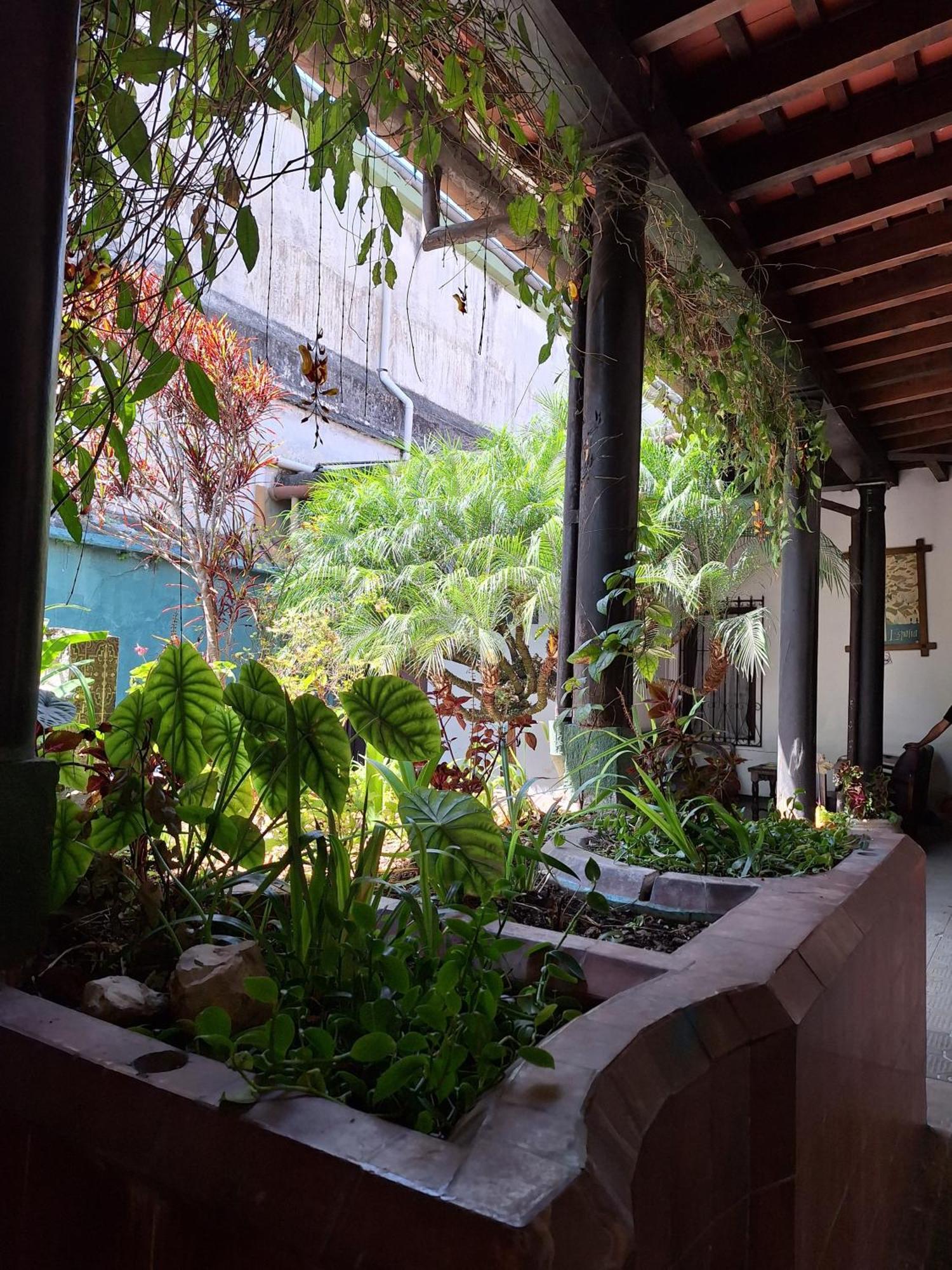 Hotel Spring Ciudad Guatemala Eksteriør billede
